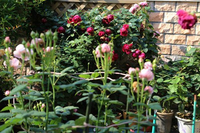 154_32108_842c1768c492b27.jpg