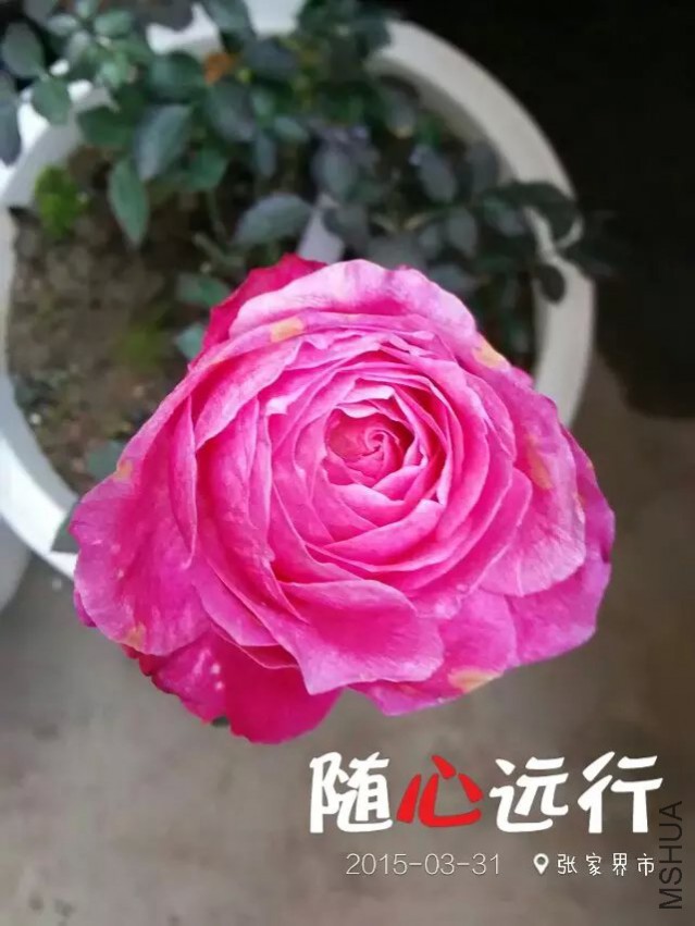 psbCAJZ5N01.jpg