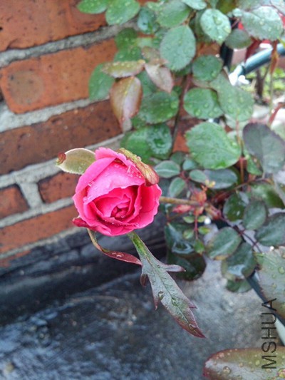 QQͼƬ20150401131502.jpg