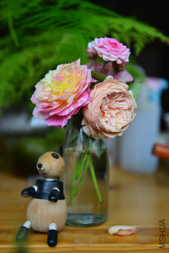 DSC_2012.JPG