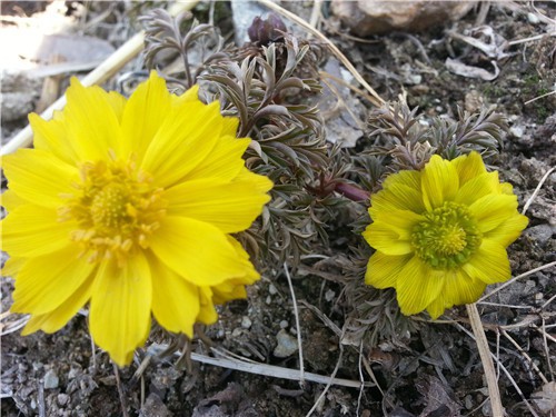 20150401_105711.jpg
