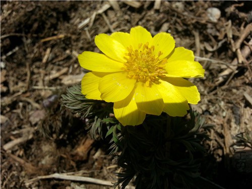 20150401_105806.jpg