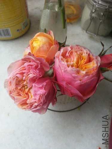 20150401_175305.jpg