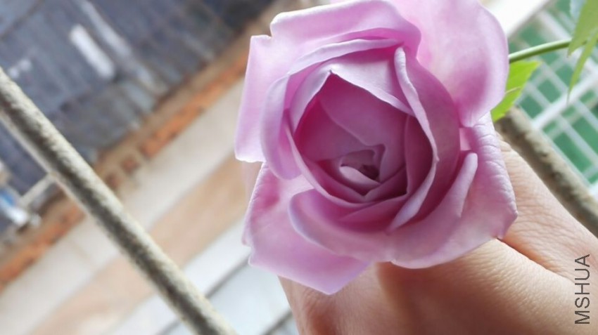 QQͼƬ20150401184817.jpg