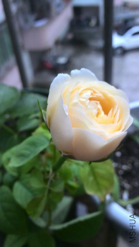 QQͼƬ20150401184820.jpg