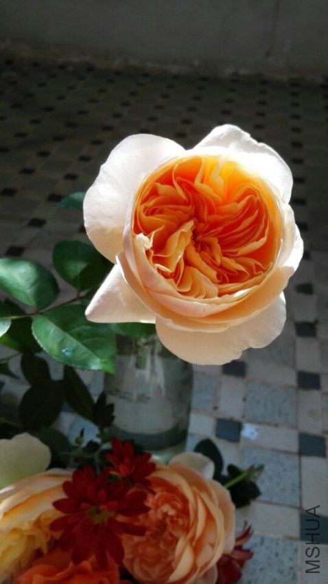 QQͼƬ20150401184823.jpg