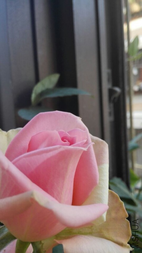 QQͼƬ20150401184830.jpg