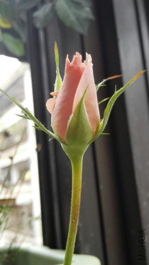 QQͼƬ20150401184840.jpg