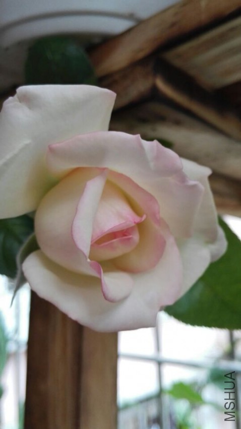 QQͼƬ20150401184856.jpg