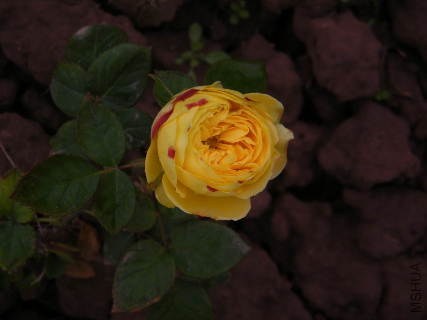 DSCF0136.jpg
