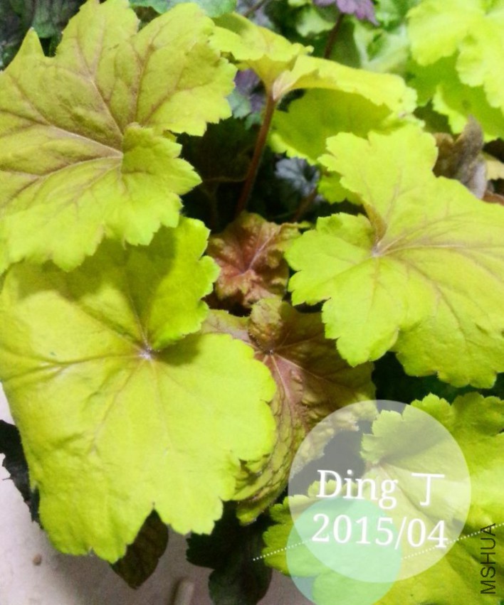 QQͼƬ20150402154039.jpg