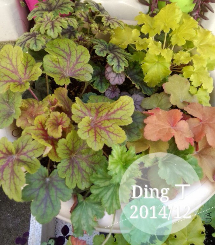 QQͼƬ20150402154055.jpg