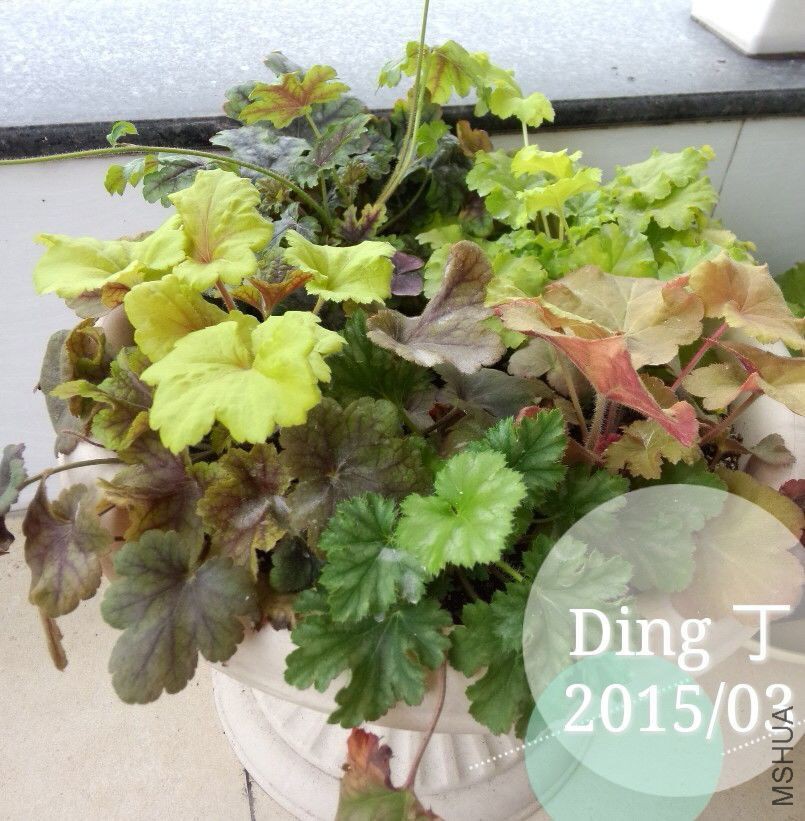 QQͼƬ20150402154058.jpg