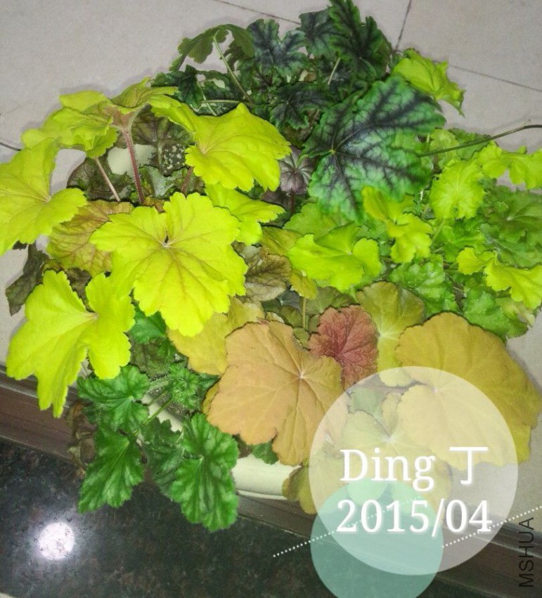 QQͼƬ20150402154101.jpg