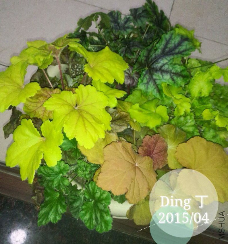 QQͼƬ20150402154104.jpg