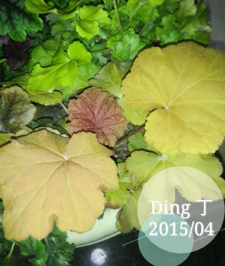 QQͼƬ20150402154107.jpg