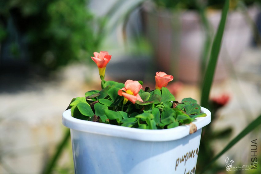 ����ܽ��