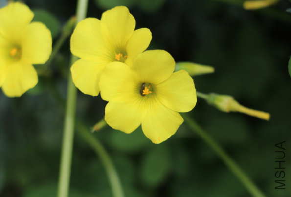 QQͼƬ20150403042349.png