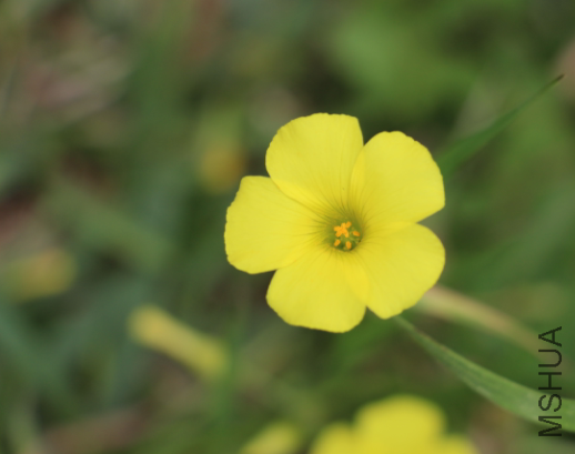 QQͼƬ20150403041948.png