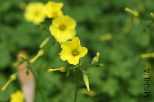 QQͼƬ20150403042541.png