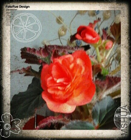 2014-11-18 18.59.01.jpg