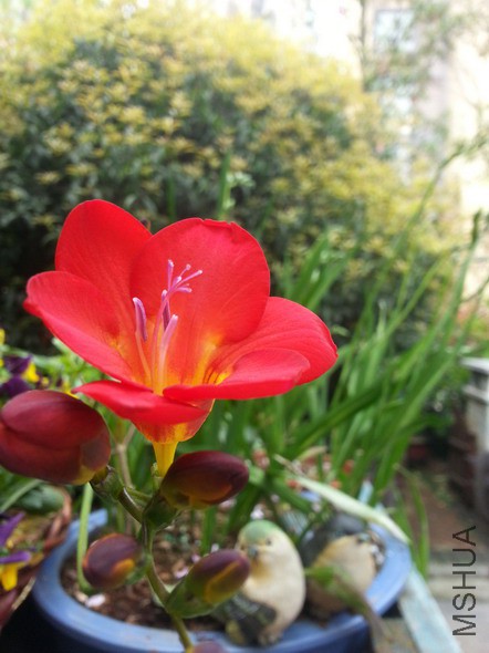 20150329_102900_��С��С.jpg