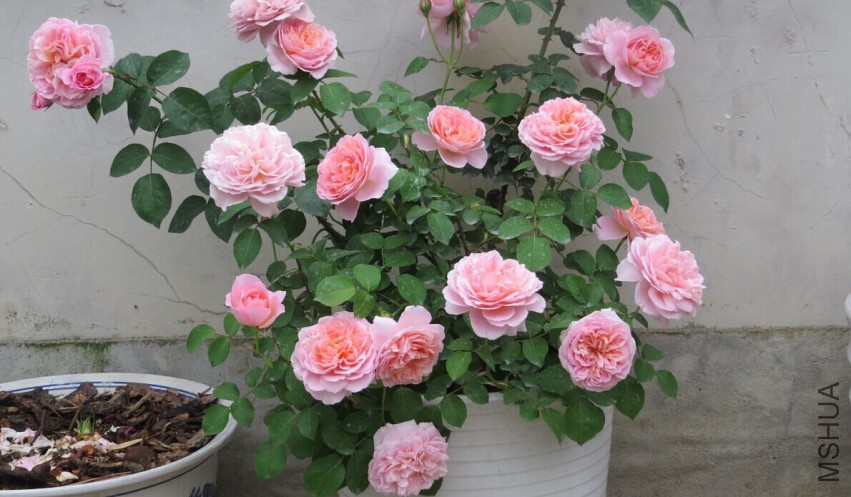 QQͼƬ20150403111735.jpg