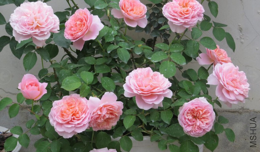 QQͼƬ20150403111805.jpg