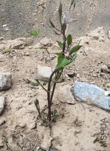 QQ��ͼ20150403133628.jpg