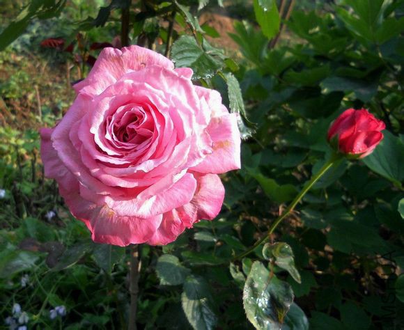 ��������2