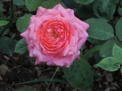 ��������3