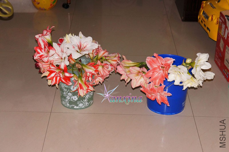 DSC04613.jpg