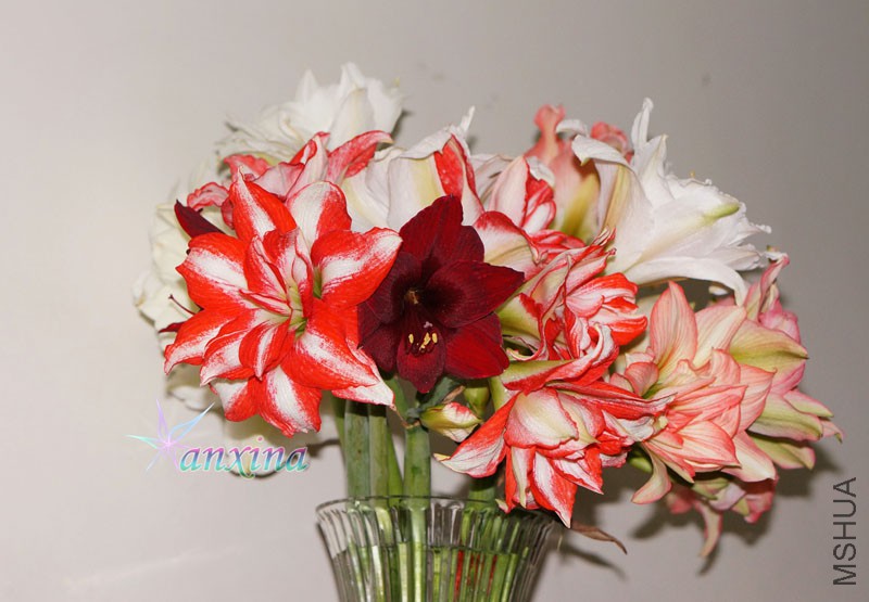 DSC04627.jpg