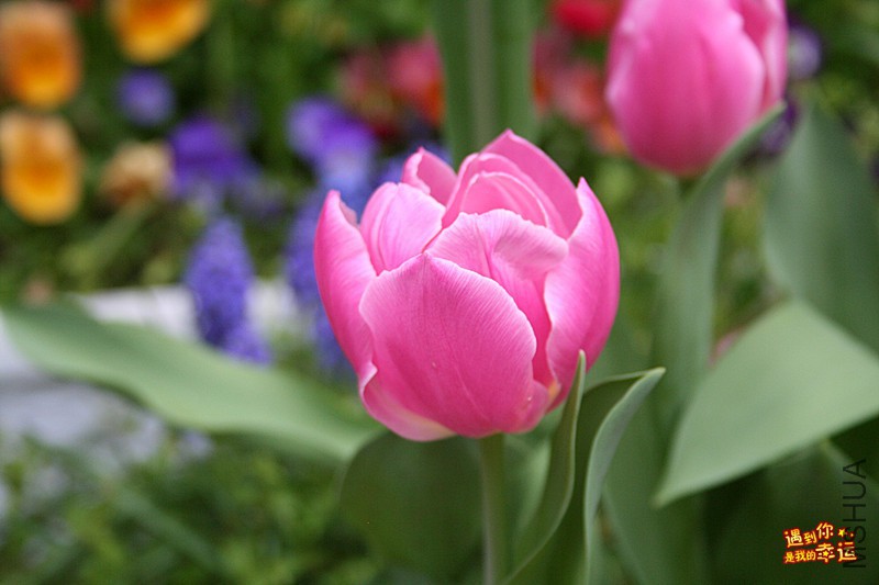 IMG_3054_���� .jpg