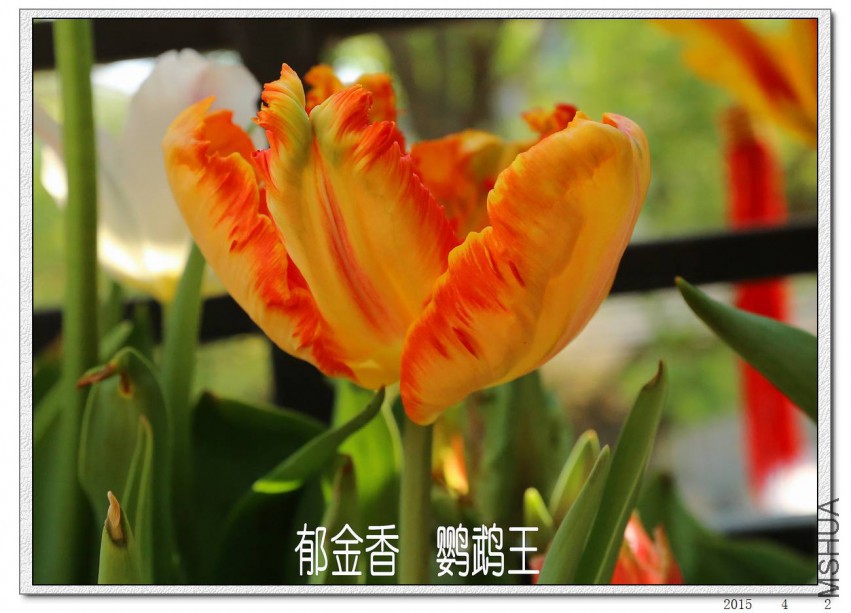 2015040206.jpg