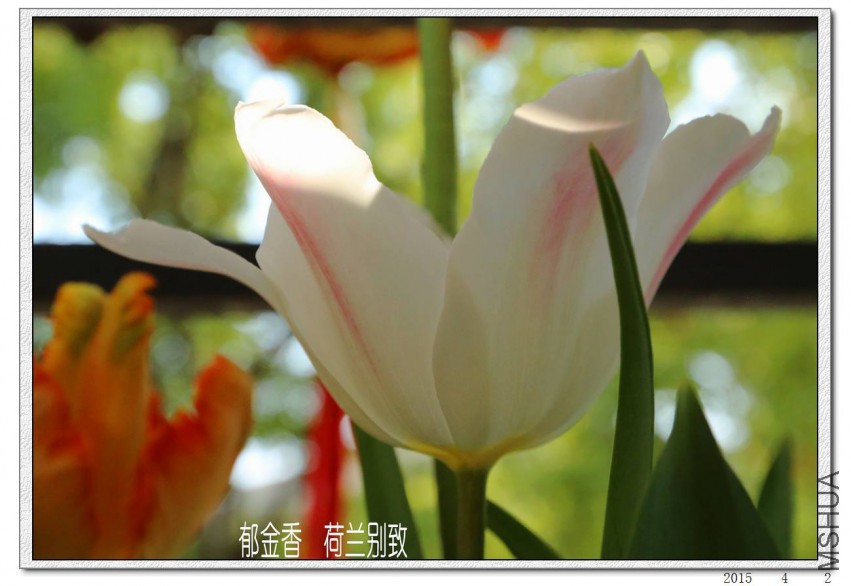 2015040207.jpg