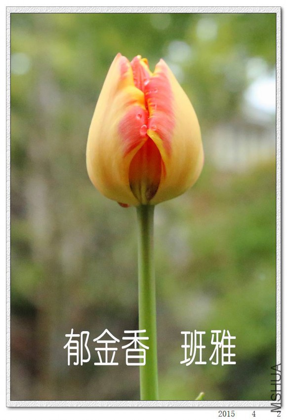 2015040205.jpg