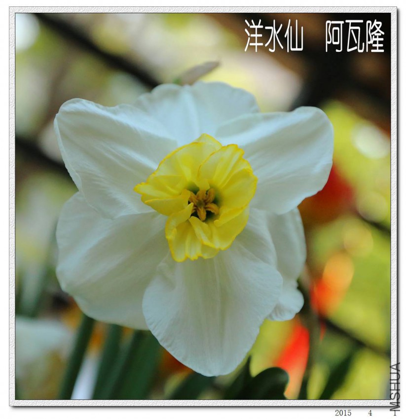 2015040109.jpg