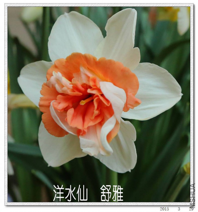2015032906.jpg