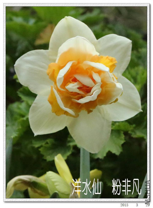 2015032907.jpg