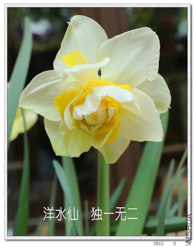 2015032905.jpg