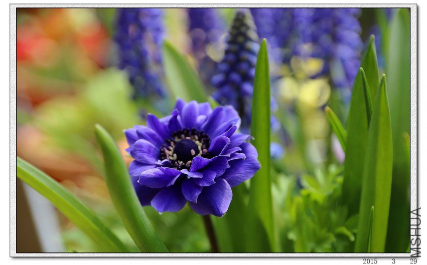 2015032904.jpg