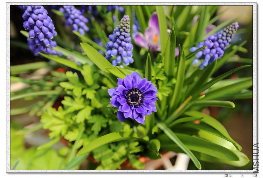2015032903.jpg