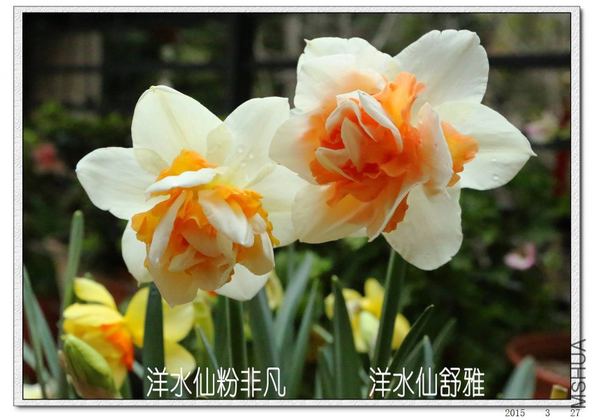 2015032706.jpg