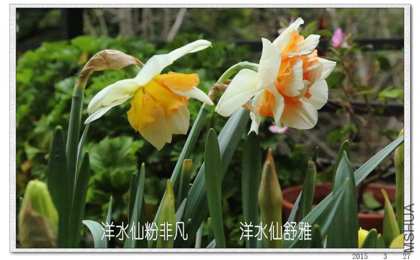 2015032705.jpg