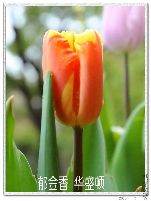 2015032703.jpg