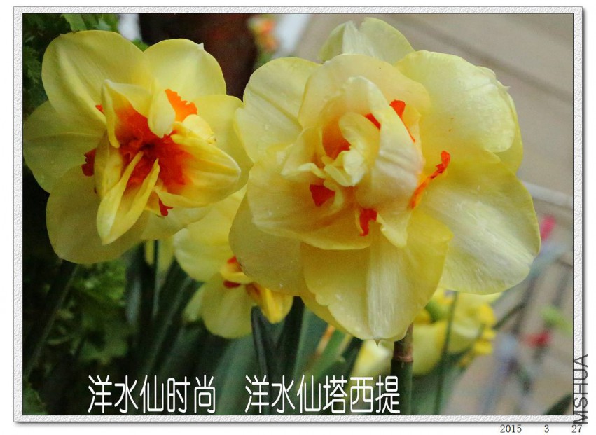 2015032704.jpg