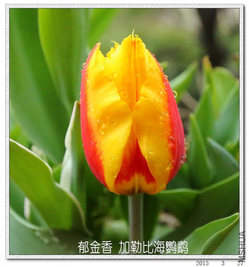 2015032701.jpg