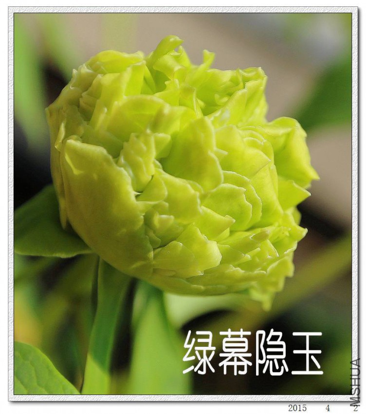 2015040215.jpg