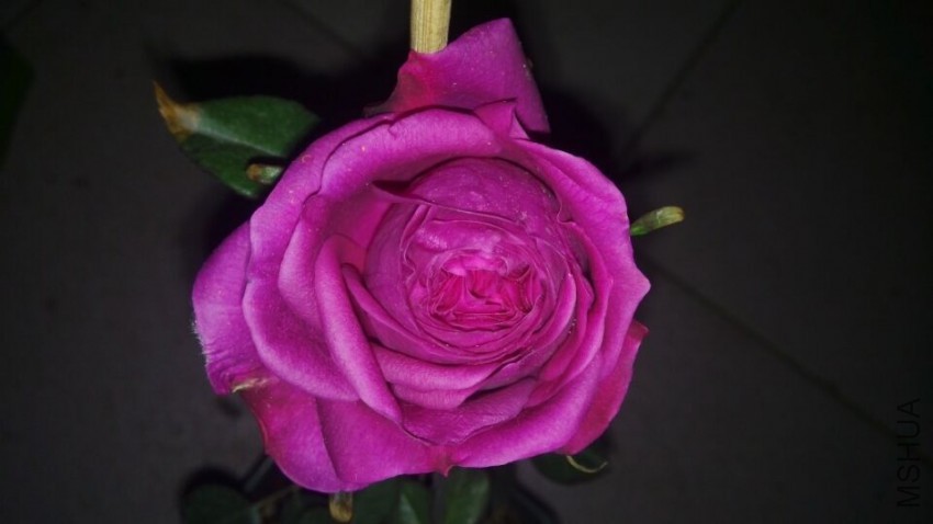 QQͼƬ20150403205205.jpg